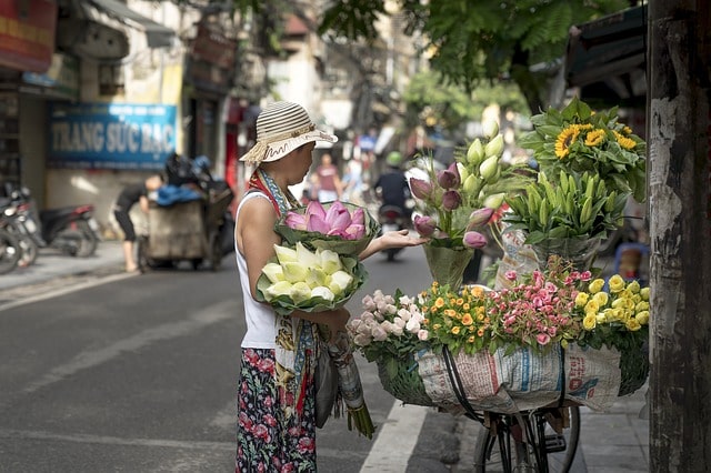 Hanoi 11